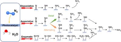 Recent progress of photocatalysts based on tungsten and related metals for nitrogen reduction to ammonia